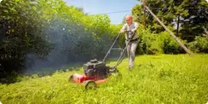 Le choix de la bonne tondeuse thermique, la clé d'une belle pelouse sans effort