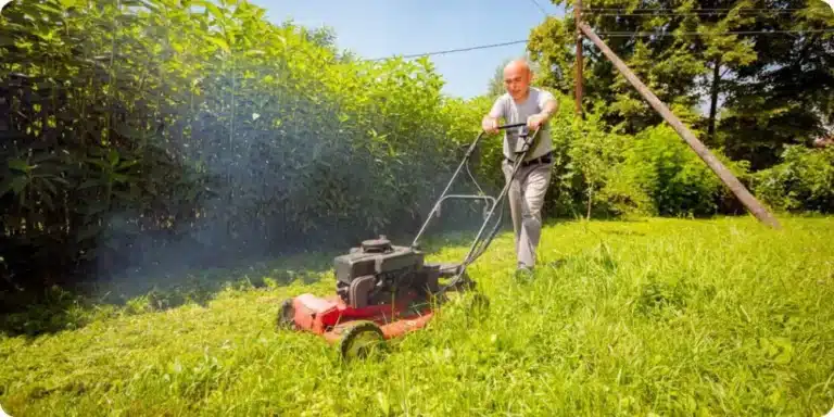 Le choix de la bonne tondeuse thermique, la clé d'une belle pelouse sans effort