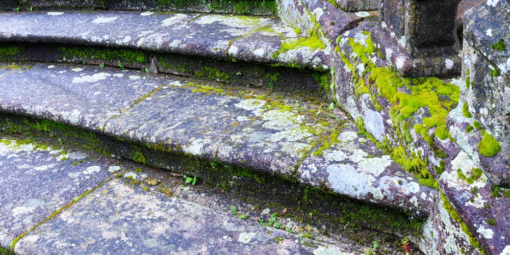 Marches en pierre naturelle couvertes de mousse verte et de lichen, à traiter au biocide puis à la brosse souple