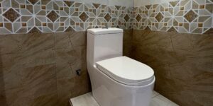 WC séparé aux murs carrelés effet marbre avec une frise de carreaux géométriques, idée de carrelage